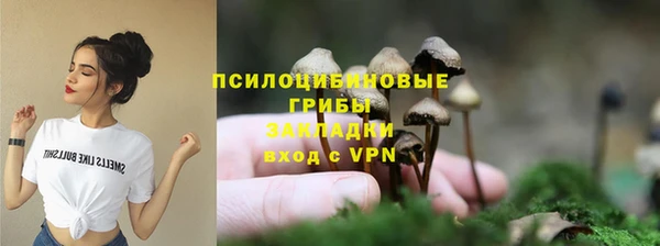 МДПВ Верхний Тагил