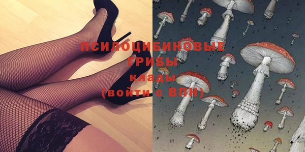 твердый Верея