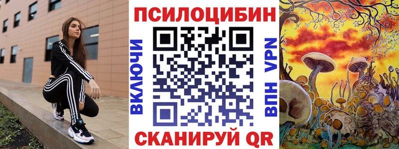 Купить закладки  Волчанск  Галлюциногенные грибы GOLDEN TEACHER 