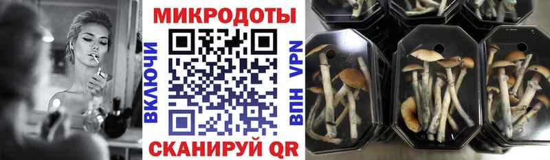Галлюциногенные грибы Cubensis Волчанск